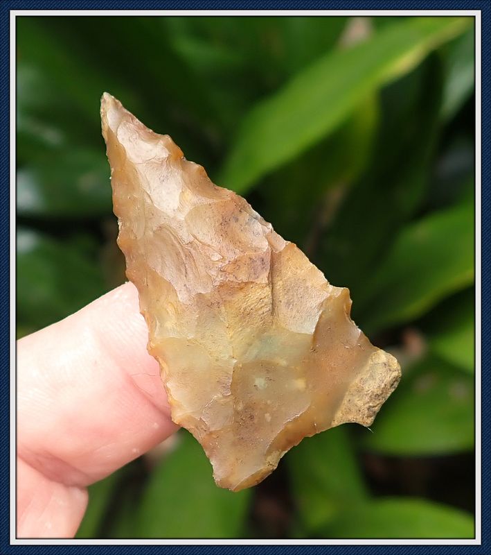 Translucent Honey Colored ~ Greenbrier Dart Point ~