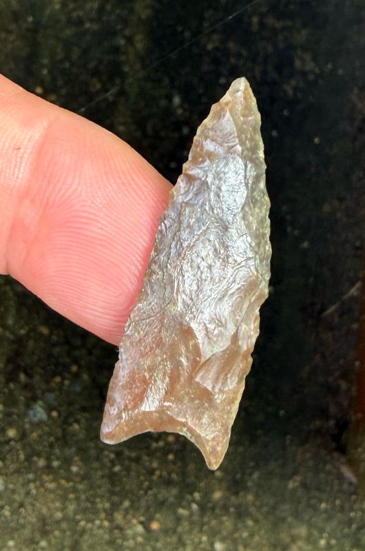 ~ Dale Co Alabama ~ Choctawhatchee Dart Point ~