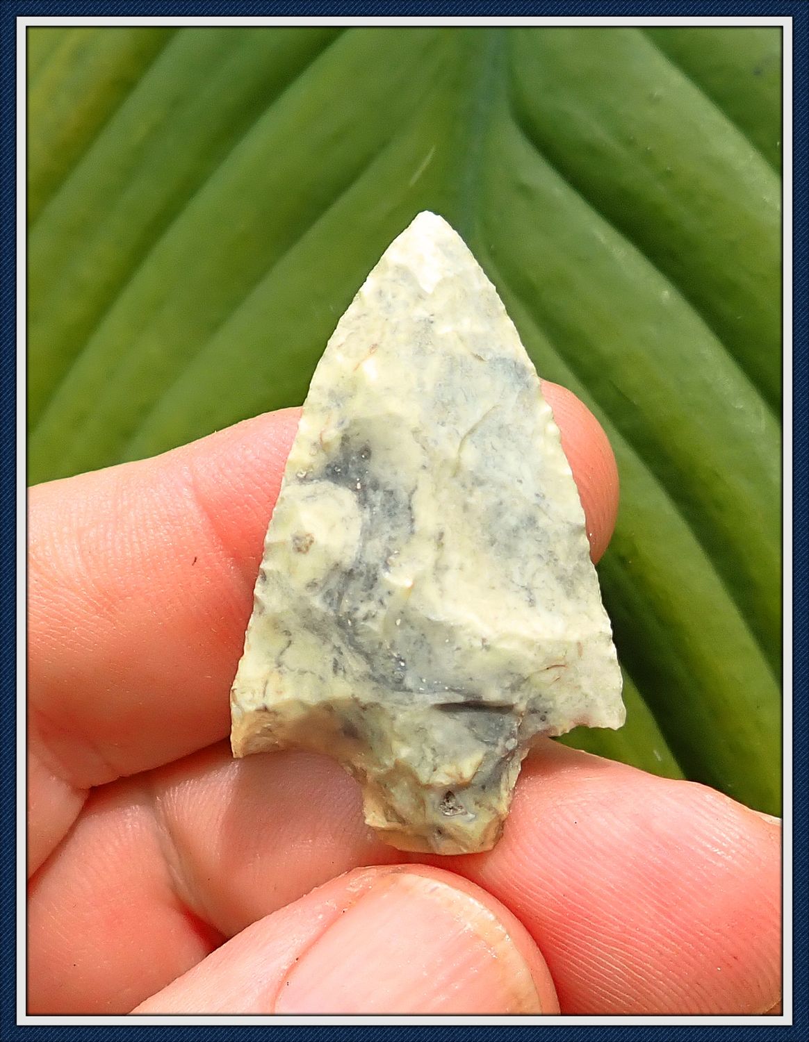 ~ Small Florida ~ Newnan Atlatl Dart Point ~
