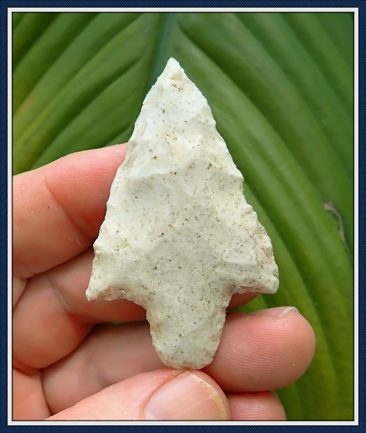 ~ 2 1/2" Alachua Co. Florida ~ Newnan Point ~