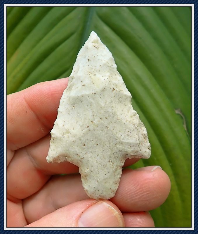 ~ 2 1/2" Alachua Co. Florida ~ Newnan Point ~