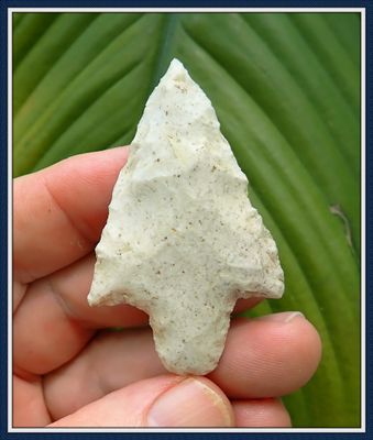 ~ 2 1/2" Alachua Co. Florida ~ Newnan Point ~
