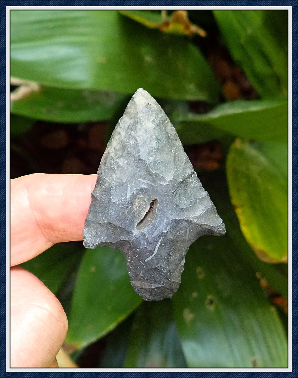 ~ 2 1/2 ~ 2 1/2" Black Suwannee Co. Florida ~ Newnan Point ~