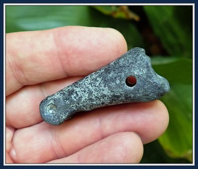 ~ Deer Toe Bone Pendant ~ Volusia Co. Florida ~