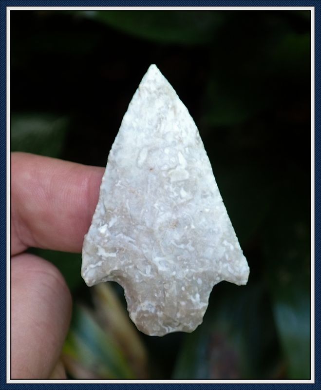 ~ 2 1/4" Putnam Co. Florida ~ Newnan Point ~