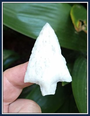 ~ Pasco Co. Florida ~ Translucent Coral ~ Newnan Spear Point ~