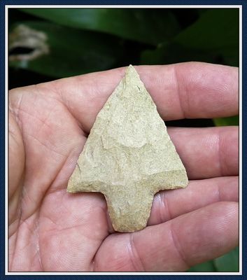 ~ Marion Co. Florida ~ Newnan Spear Point ~