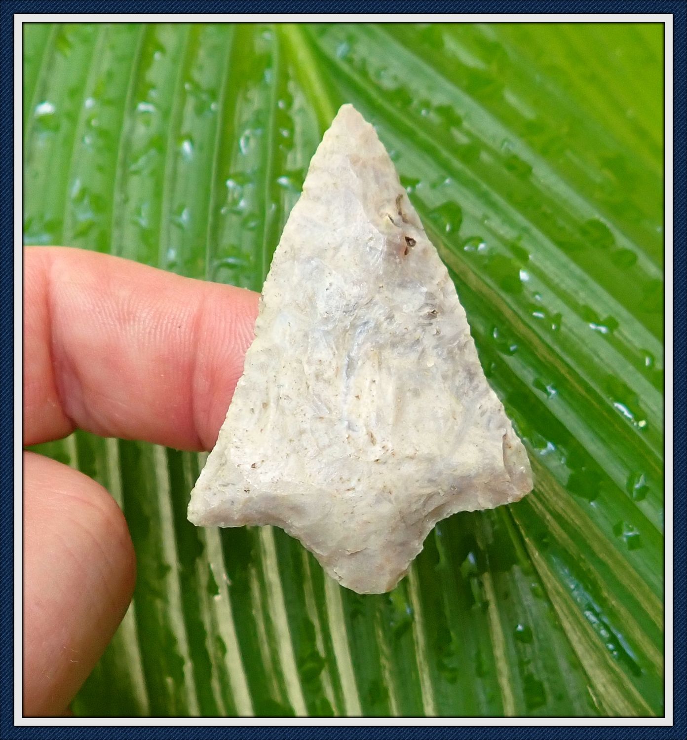~ Marion Co. Florida ~ Marion Spear Point ~