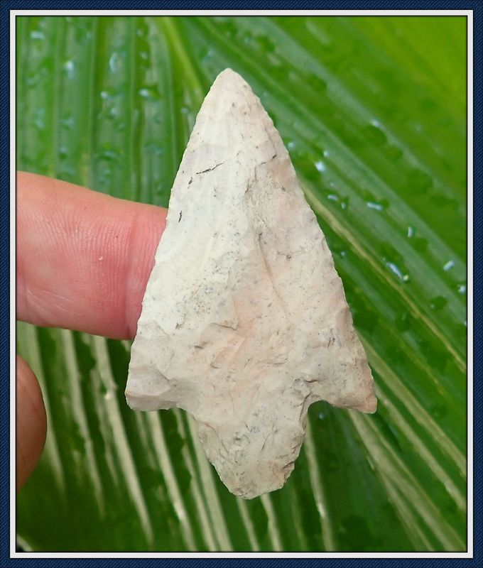 ~ Marion Co. Florida ~ Newnan ~ Spear Dart Point ~