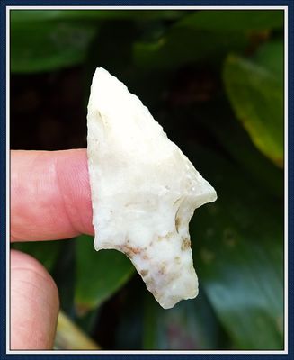~ Pasco Co. Florida ~ Lochloosa Newnan Spear Point ~