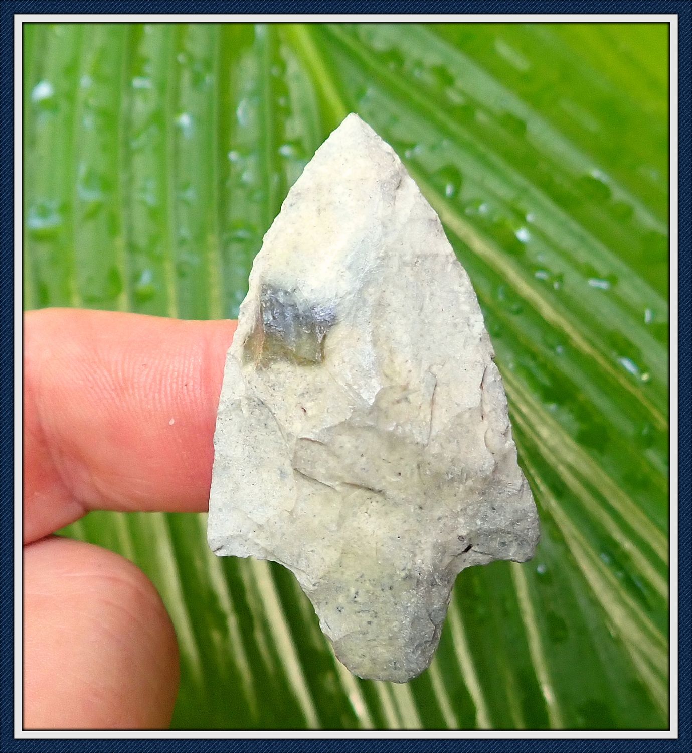 ~ Putnam Co. Florida ~ Marion ~ Spear Dart Point ~