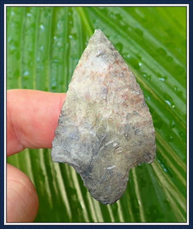 ~ Putnam Co. Florida ~ Cypress Creek ~ Spear Point ~