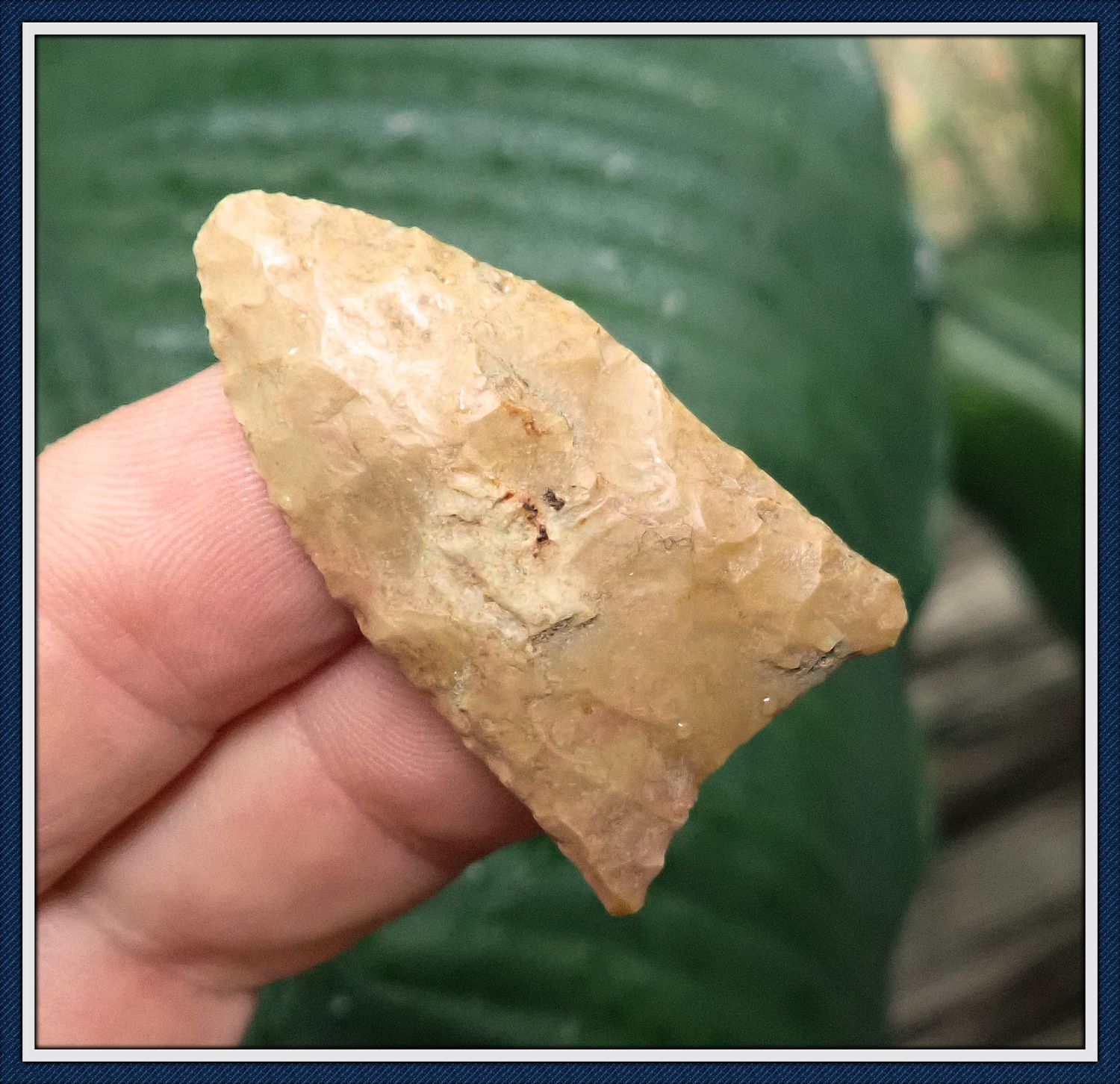 1 3/4" Green Co. Arkansas Clovis
