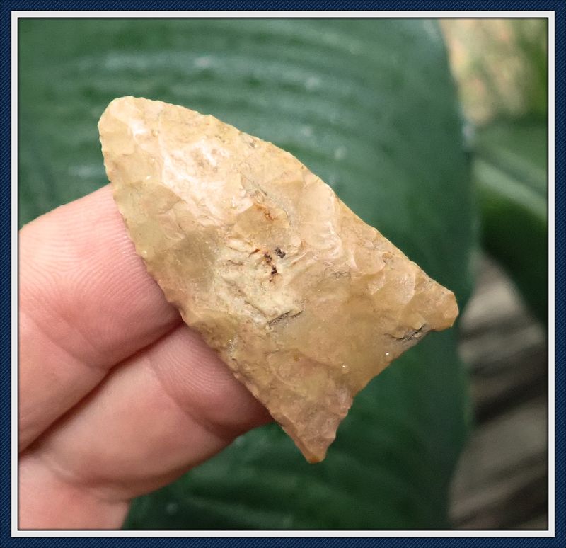 1 3/4" Green Co. Arkansas Clovis