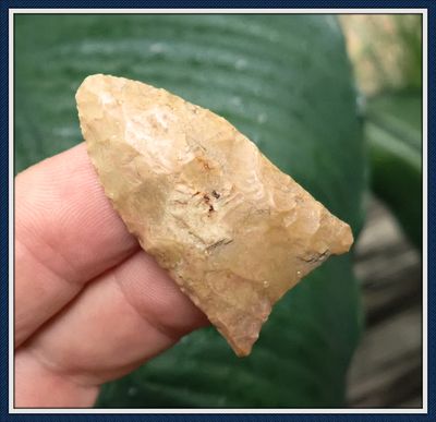 1 3/4" Green Co. Arkansas Clovis