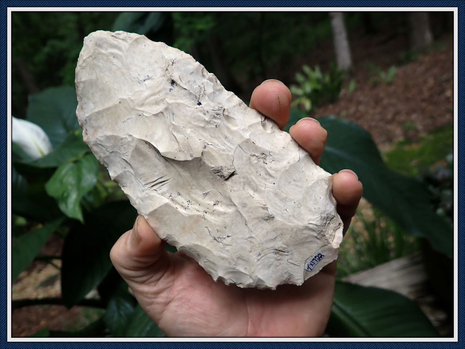 ~ 6 1/4" Paleo Platter Blade ~ Fort Hood Texas Area  ~ from Greg Perino's Personal Collection ~