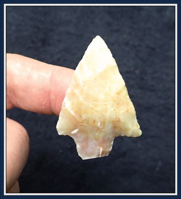 ~ Pasco Co. Coral Newnan Point ~ Translucent Orange ~