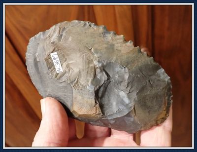 ~ 4 1/2" Paleo Saw ~ Oyster Bay ~ Baldwin Co. Alabama ~