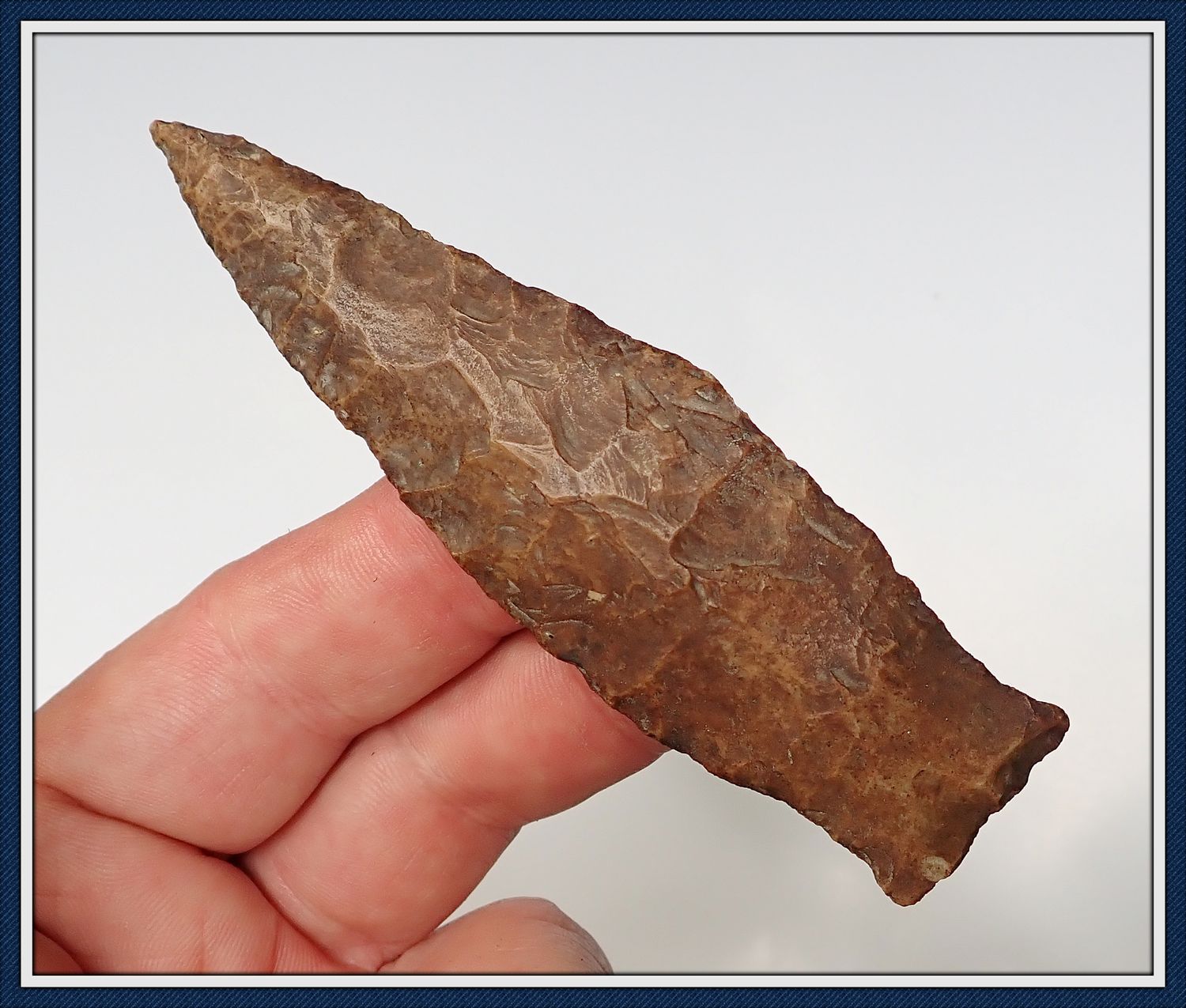 Large 4" Long ~ Awesome Tennessee Copena Point ~