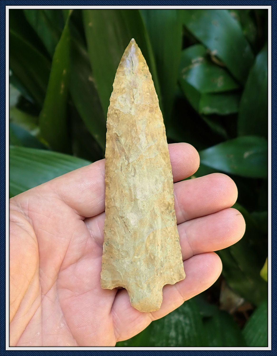 ~ 5" Pickwick Knife ~ Taylor Co. Florida ~