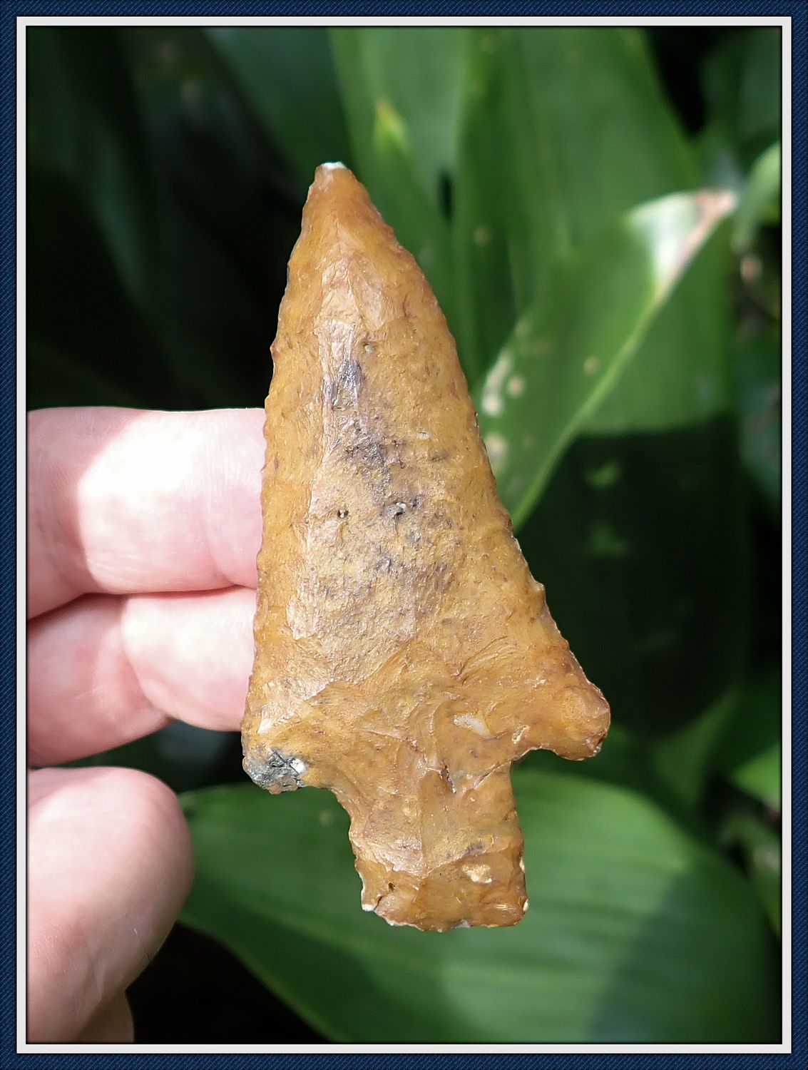 ~ 3 1/4" Coral Kirk Knife ~ Taylor Co. Florida ~