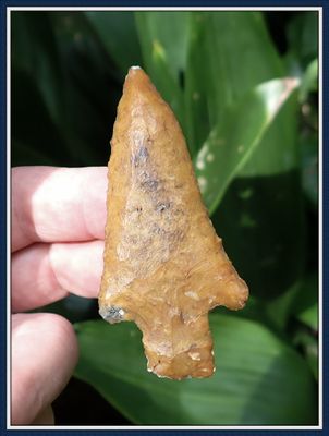 ~ 3 1/4" Coral Kirk Knife ~ Taylor Co. Florida ~