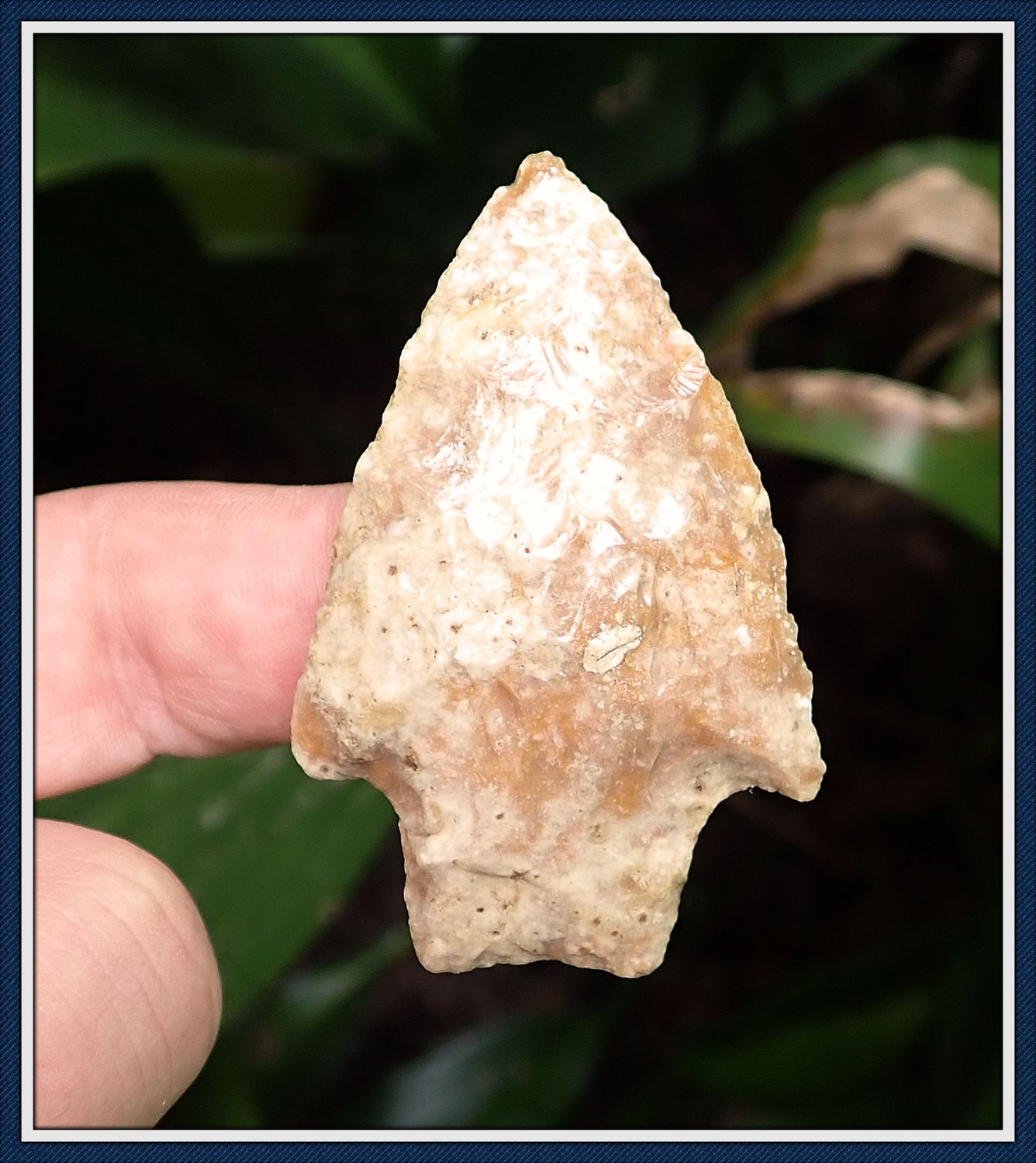 ~ 2 3/8" Glossy Alapaha River Basin Florida ~ Savannah River ~