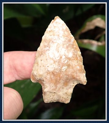~ 2 3/8" Glossy Alapaha River Basin Florida ~ Savannah River ~