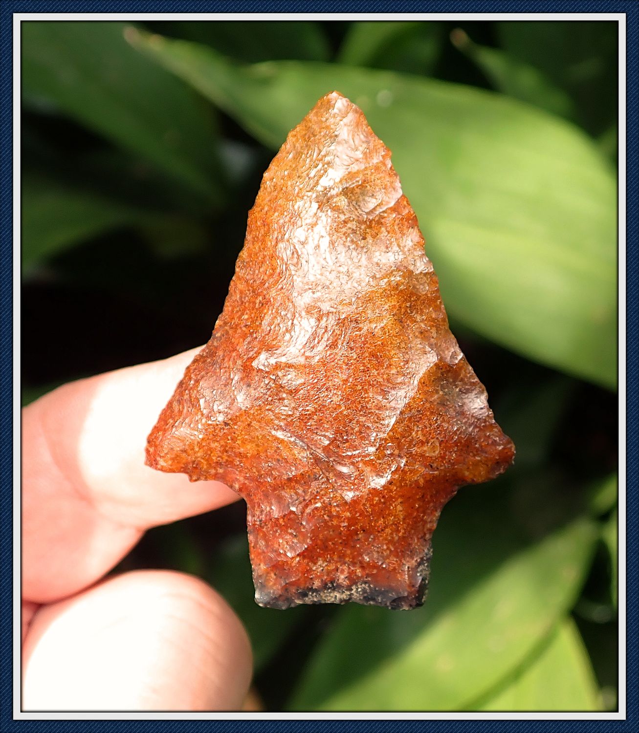 ~ Wonderful Wacissa ~ Polished Glossy Blade ~ ON HOLD