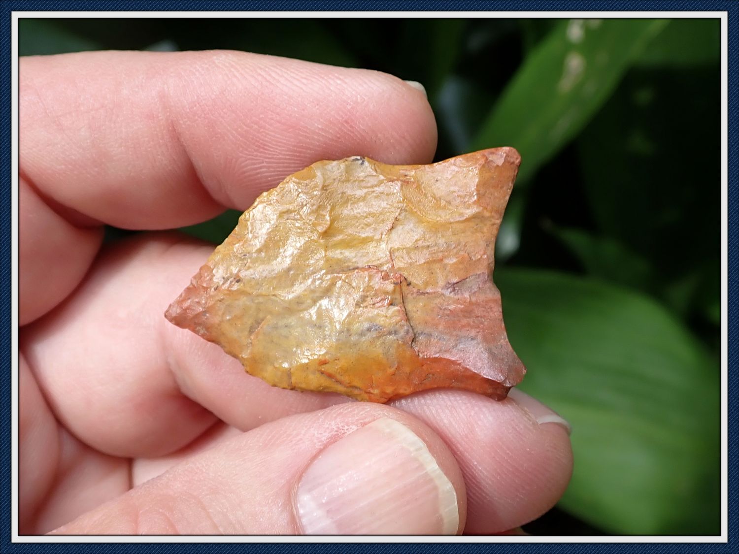 ~ Paleo ~ Jasper San Patrice ~ Mississippi Point ~