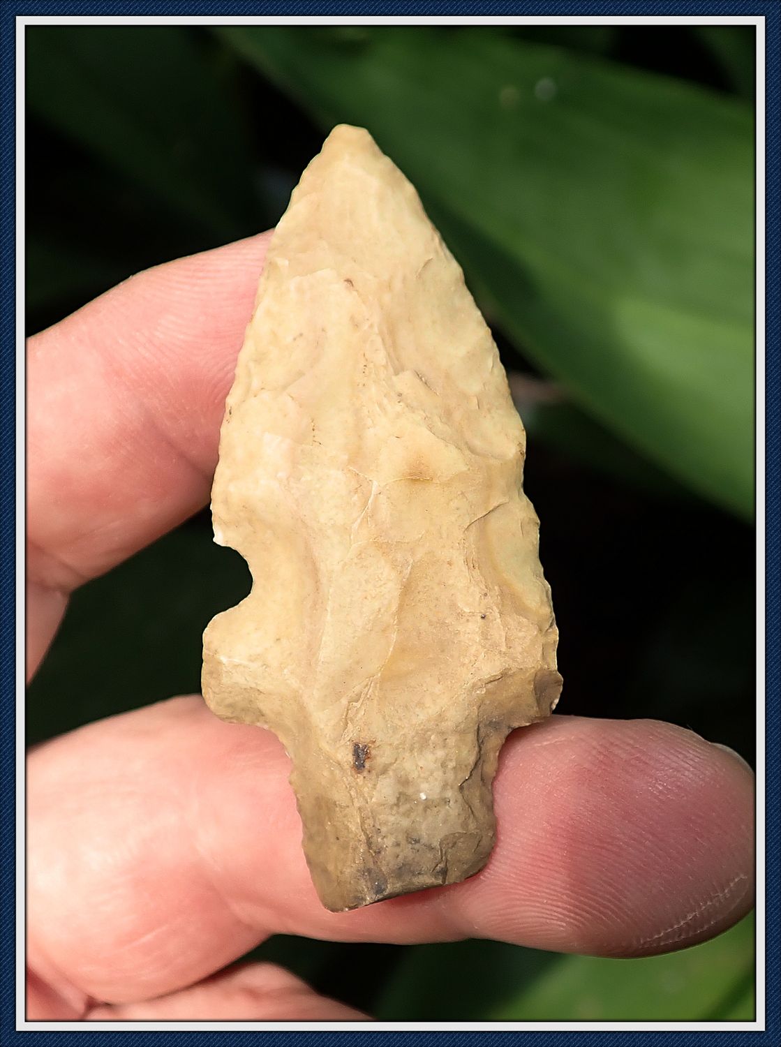 ~ Evans Single Notch Point ~ Mississippi Point ~