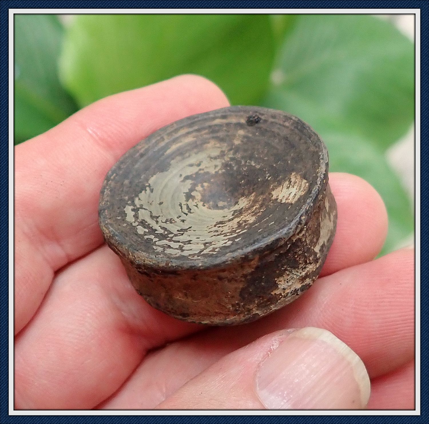 ~ Shark Vertbra ~ Dinosaur Age ~ Cretatious Era 60 Million Yr Old Bone ~ from East Central Alabama ~ Personal Find ~ ~ Shark Vertbra ~ Dinosaur Age ~ Cretatious Era 60 Million Yr Old Bone ~ from East Central Alabama ~ Personal Find ~