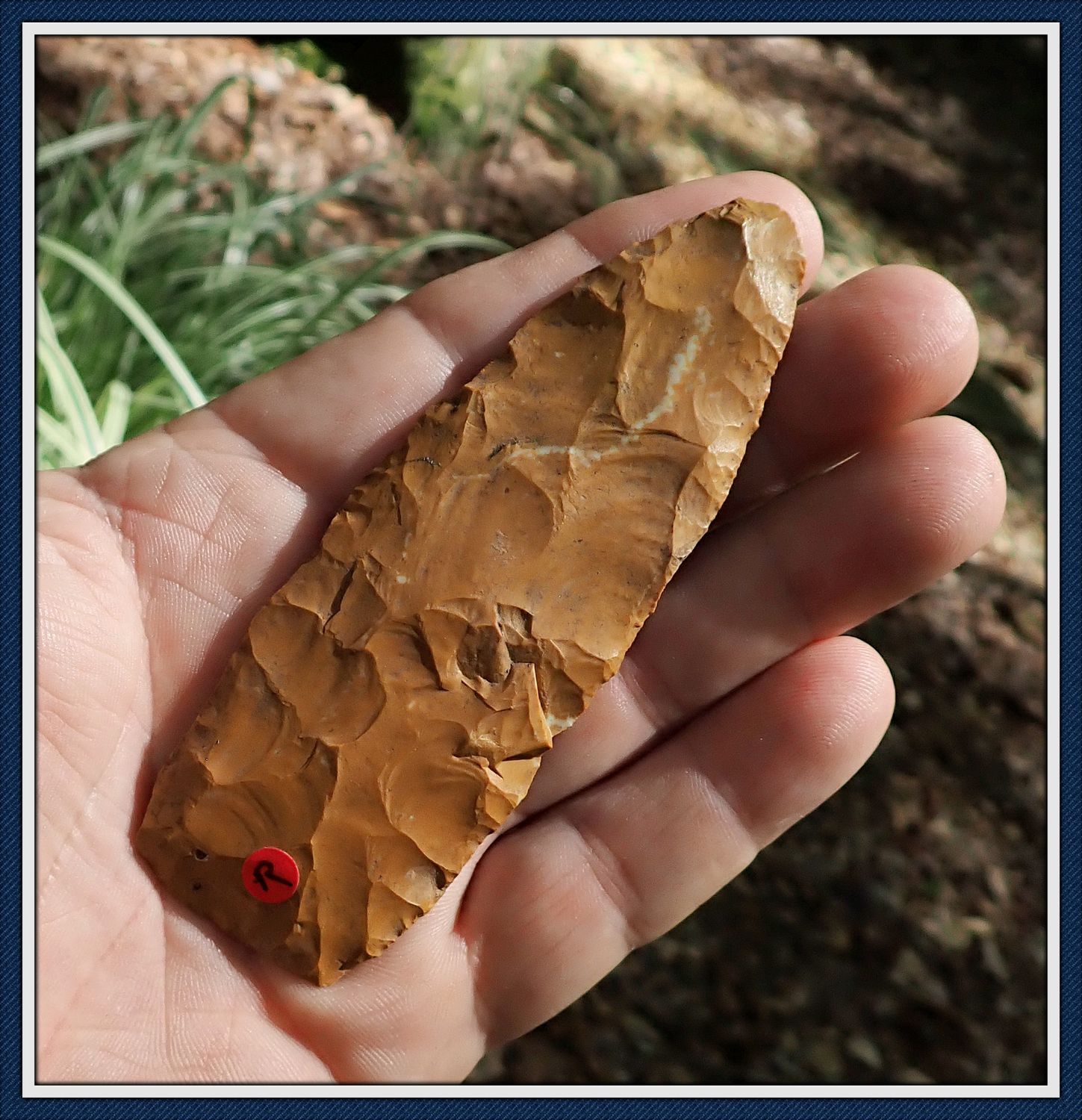 ~ South East Indiana ~ Archaic Stanfield Knife ~ ~ South East Indiana ~ Archaic Stanfield Knife ~
