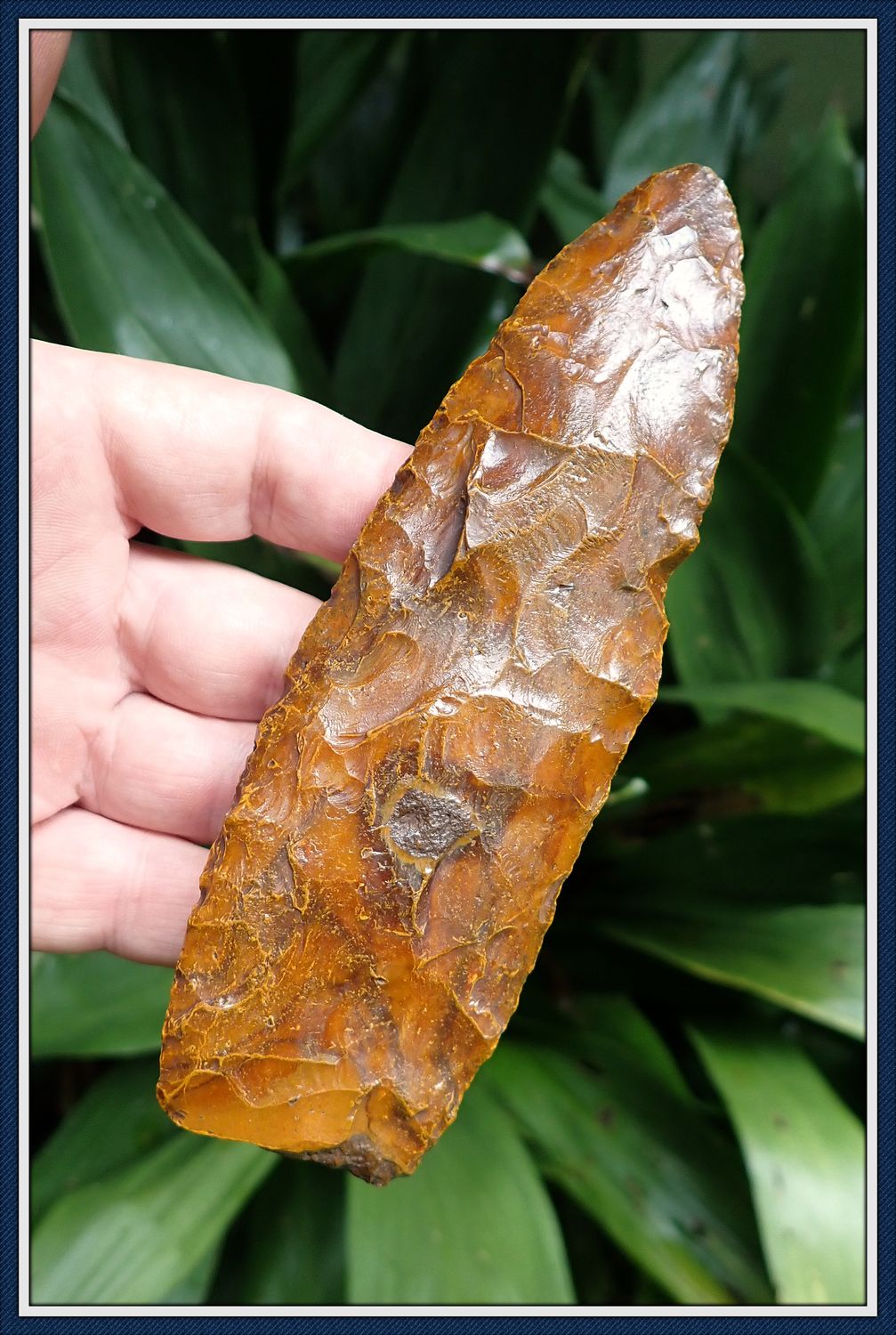 ~ 6 1/4 ~ 6 1/4" Long ~ Paleo Lanceolate ~ Suwannee Co. Florida ~