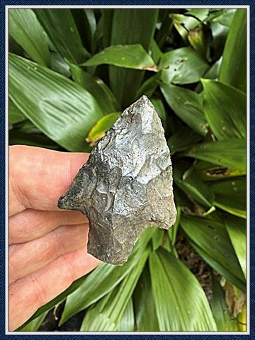 ~ Putnam Co. Florida ~ Newnan Point ~ 2
