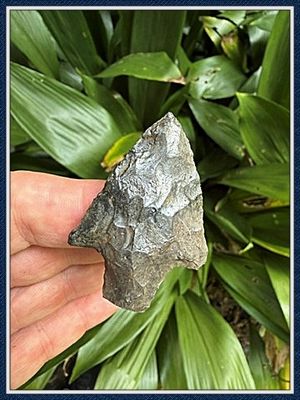 ~ Putnam Co. Florida ~ Newnan Point ~ 2