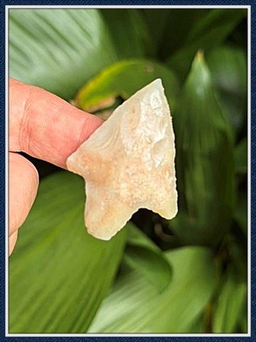 ~ Pasco Co. Florida ~ Translucent Newnan Point ~ 3