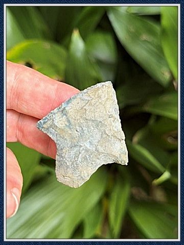~ Putnam Co. Florida ~ Newnan Point ~ 4