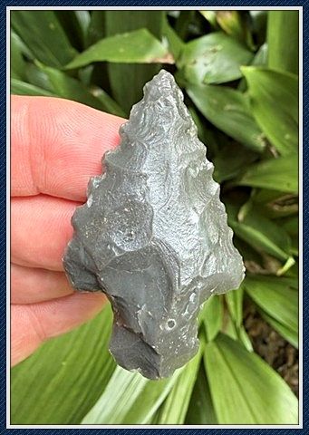 ~ Putnam Co. Florida ~ Newnan Point ~ 4