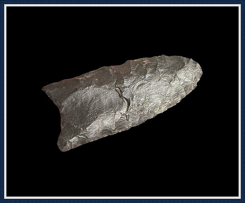 ~ Double Fluted ~ Black Coshocton Chert ~ Clovis Point ~