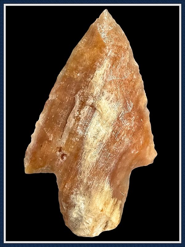 ~ Tick Hammock ~ Pasco Co. Florida ~ Translucent Newnan Point ~ 1