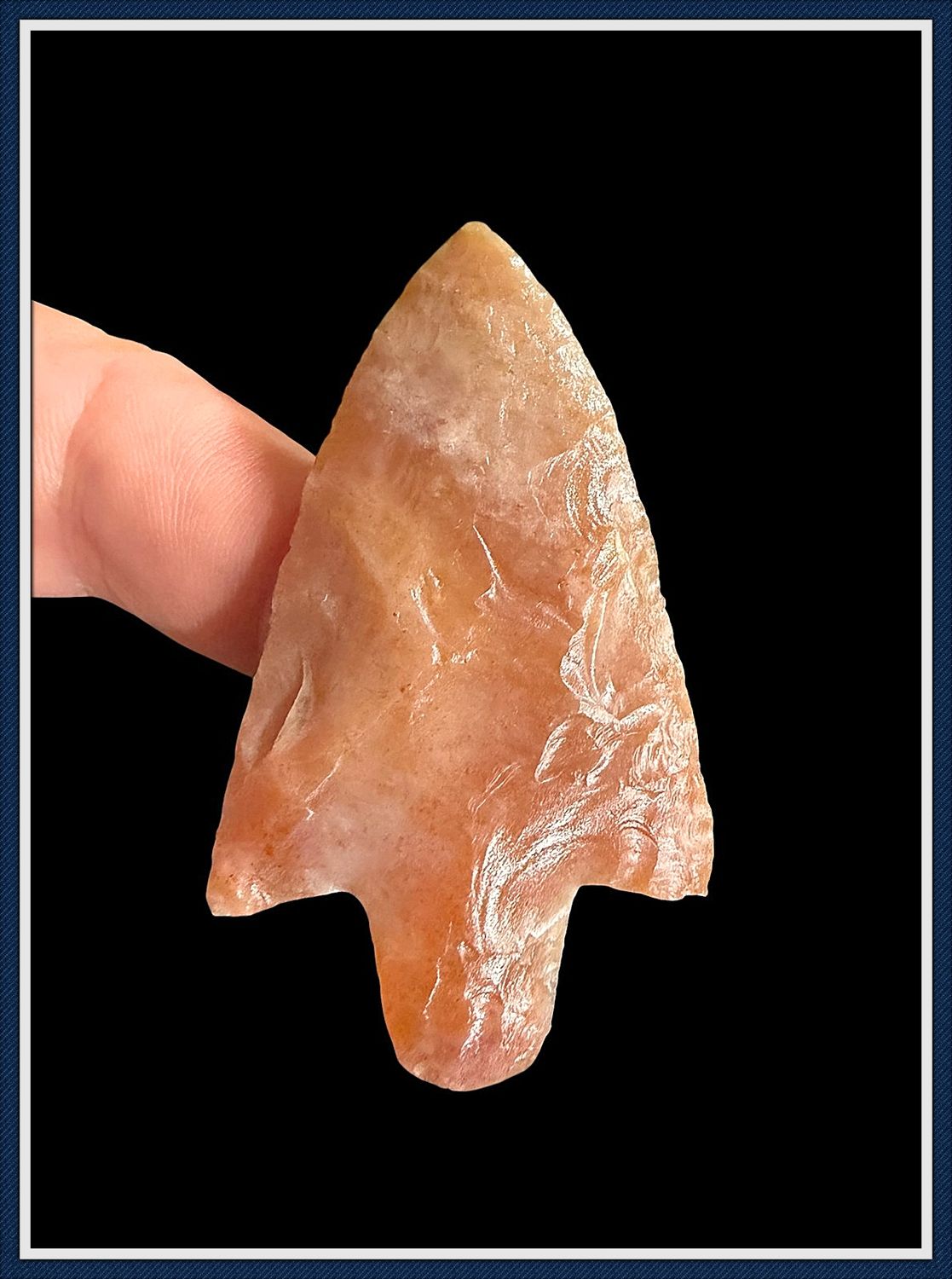 ~ Tick Hammock ~ Pasco Co. Florida ~ Translucent Coral Newnan Point ~ 3 ~ Tick Hammock ~ Pasco Co. Florida ~ Translucent Coral Newnan Point ~ 3