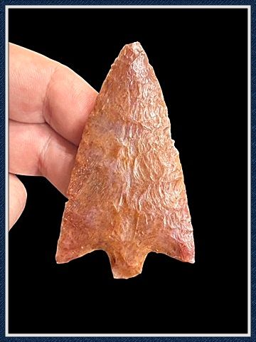 ~ Tick Hammock ~ Pasco Co. Florida ~ Translucent Coral Hillsborough Point ~  ON HOLD
