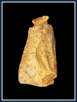 ~ Gold Waller Knife  ~ Taylor Co. Florida ~