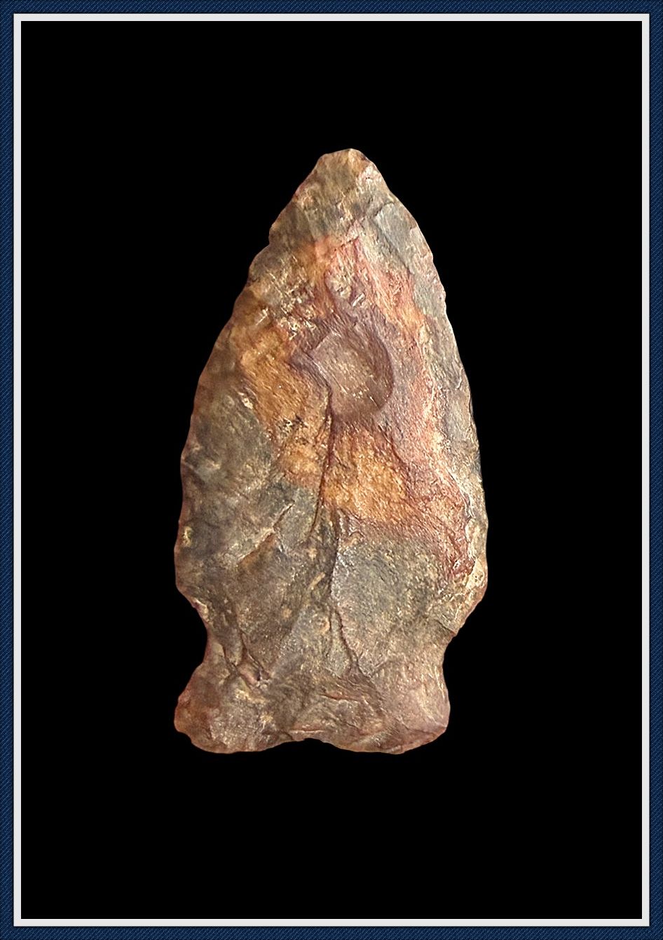 ~Petrified Wood ~ Transitional Paleo Greenbrier ~ Delaware ~Petrified Wood ~ Transitional Paleo Greenbrier ~ Delaware