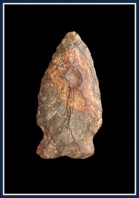 ~Petrified Wood ~  Transitional Paleo Greenbrier ~ Delaware