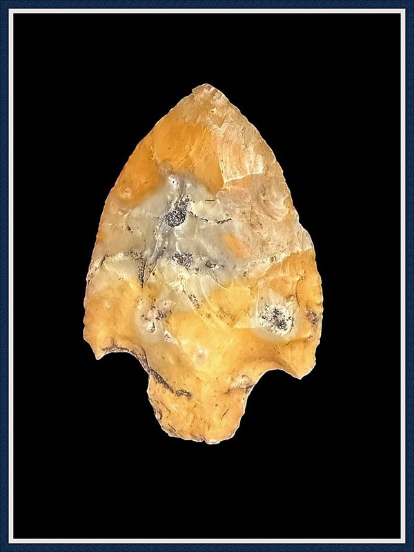 ~ Gold Translucent ~ Bay Botton Cypress Creek Point ~