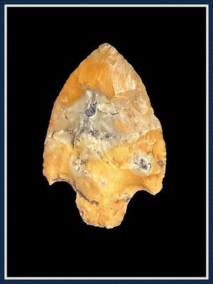 ~ Gold Translucent ~ Bay Botton Cypress Creek Point ~