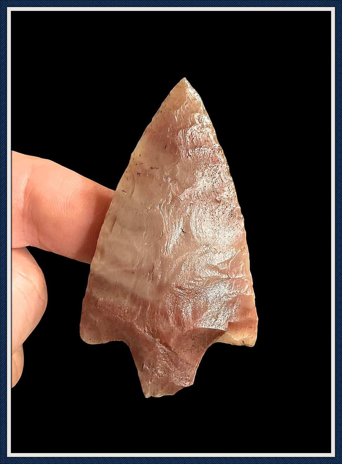 ~ Pasco Co. Florida ~ Translucent Newnan Point ~
