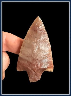 ~ Pasco Co. Florida ~ Translucent Newnan Point ~